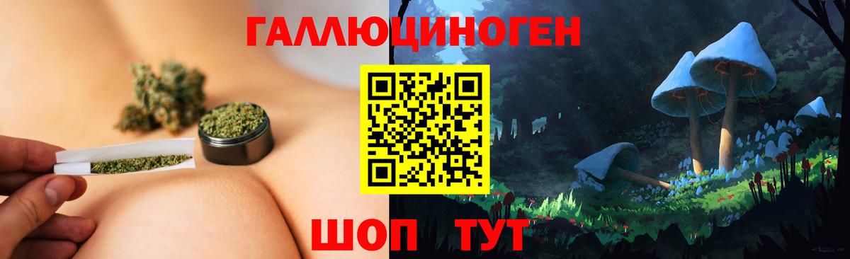 Пушкино  Псилоцибиновые грибы Psilocybe  Вход с VPN 